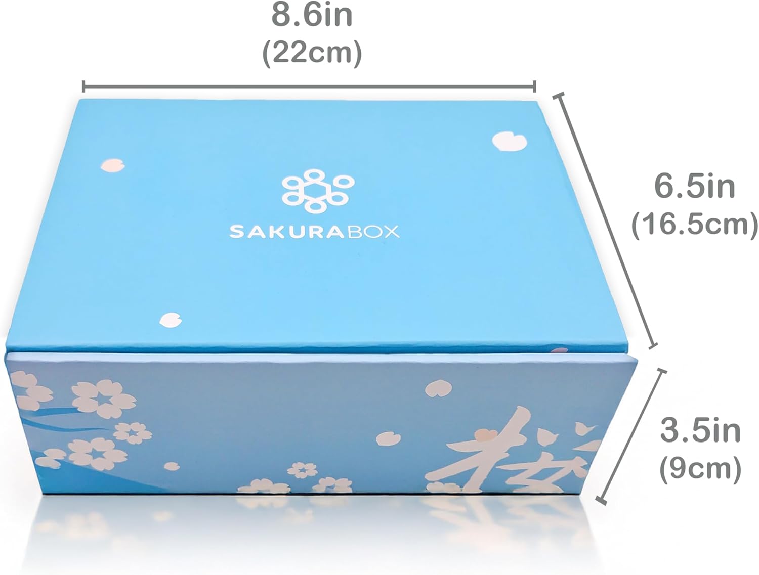 Assortiment de boîtes de bonbons japonaises et brochure anglaise 40 collations et bonbons Dagashi, gomme, bonbons gélifiés, ramune
